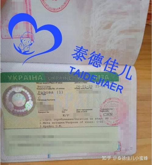 烏克蘭簽證辦理指南 試管醫療簽證、落地簽政策與代辦服務解析