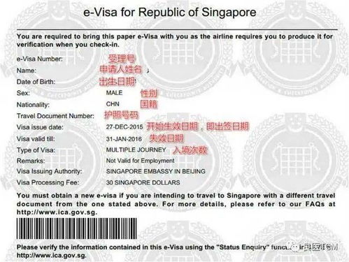 急難愁盼有回響 上海公安推出遠程代辦服務，破解海外同胞身份證換證難題